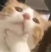 拯救P圖廢柴,阿里上新多模態模型Qwen-VLo,人人免費可玩